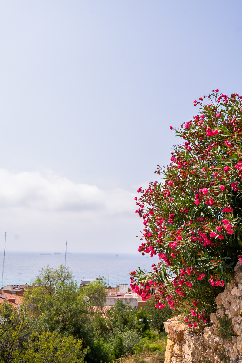 Platja de la Savinosa, Tarragona — Cala recogida entre acantilados