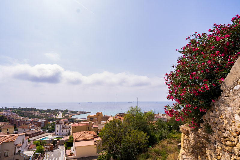 Salou, Cambrils y Calafell: guía para descubrir la Costa Daurada